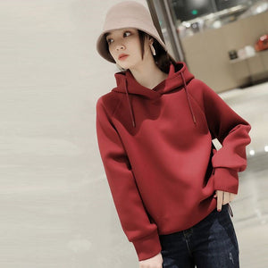 Áo hoodies nỉ dài tay dây rút một màu - NU9536